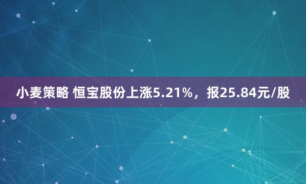 小麦策略 恒宝股份上涨5.21%，报25.84元/股
