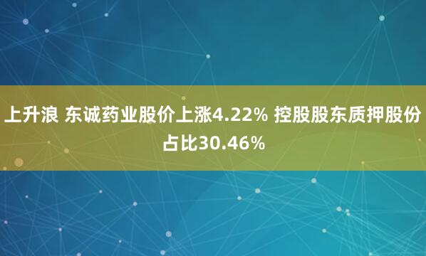 上升浪 东诚药业股价上涨4.22% 控股股东质押股份占比30.46%