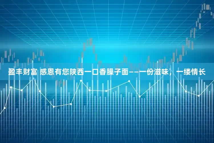盈丰财富 感恩有您陕西一口香臊子面——一份滋味，一缕情长