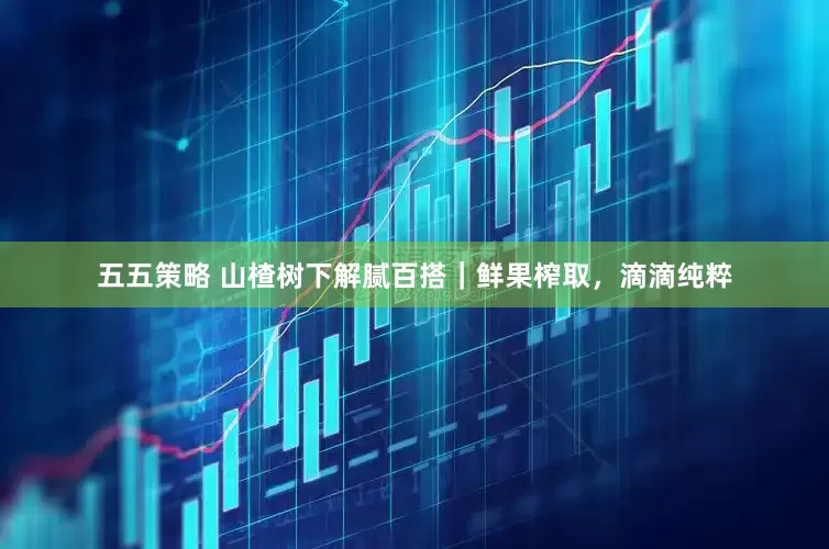 五五策略 山楂树下解腻百搭｜鲜果榨取，滴滴纯粹