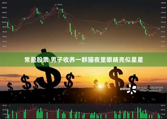 常盈股票 男子收养一群猫夜里眼睛亮似星星