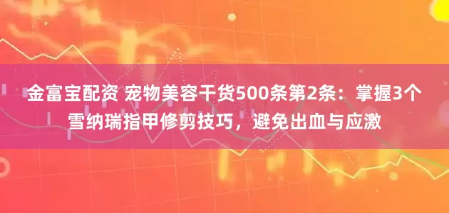 金富宝配资 宠物美容干货500条第2条：掌握3个雪纳瑞指甲修剪技巧，避免出血与应激